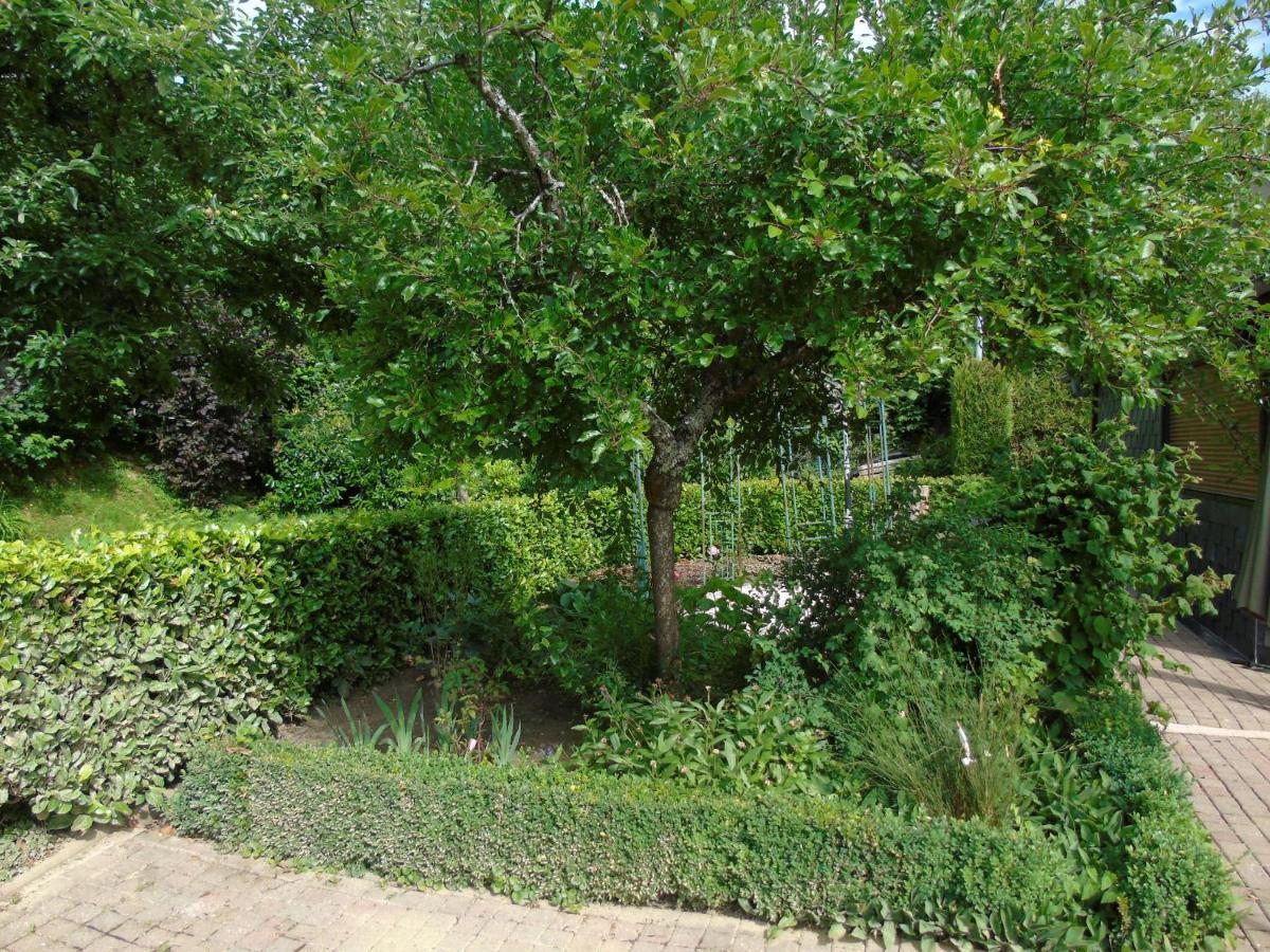Maison L'Hirondelle Rustique A Tournavaux Екстер'єр фото
